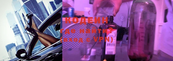 хмурый Новозыбков