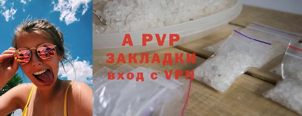 хмурый Новозыбков