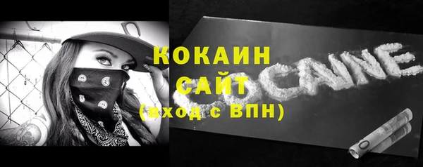 хмурый Новозыбков