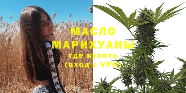 молекула духа Новодвинск