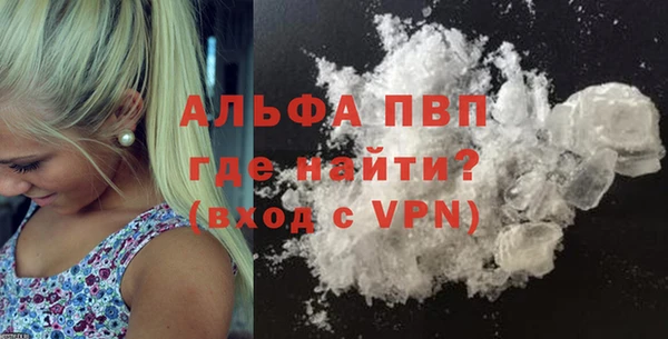 молекула духа Новодвинск