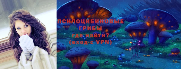 прущие крисы Няндома
