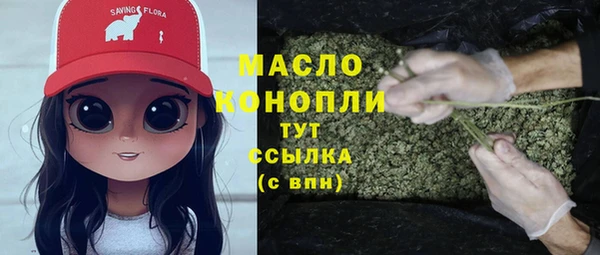 молекула духа Новодвинск
