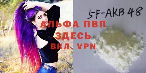 хмурый Новозыбков