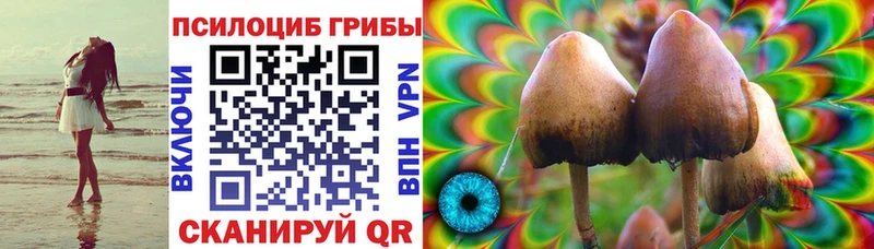 KRAKEN рабочий сайт  Ступино  Псилоцибиновые грибы Magic Shrooms 