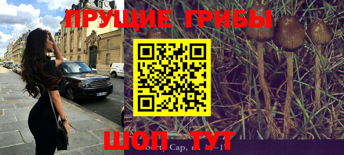 Псилоцибиновые грибы Cubensis Ступино
