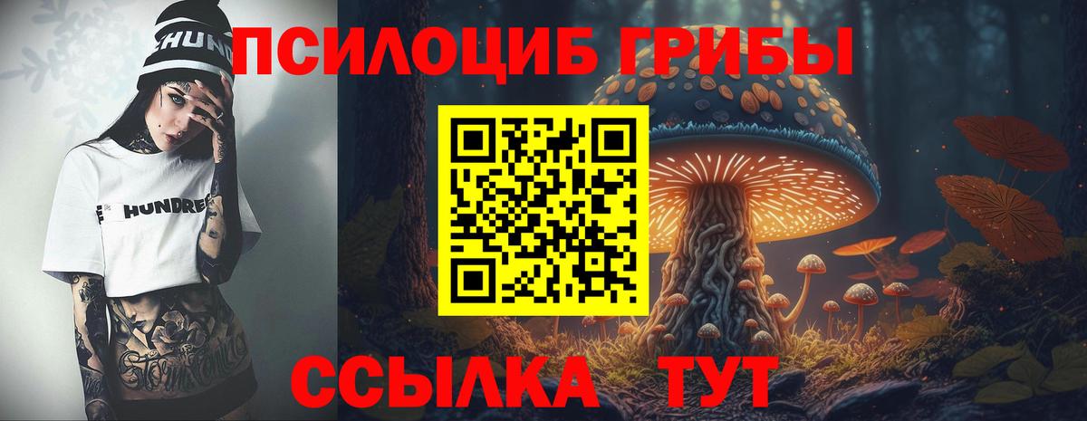 Ступино  Псилоцибиновые грибы Cubensis  Вход с VPN 